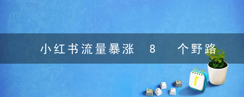 小红书流量暴涨 8 个野路子玩法：小红书新人快速流量破局（ 8 节课）